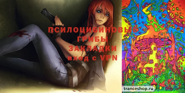 ГАЛЛЮЦИНОГЕННЫЕ ГРИБЫ Абинск