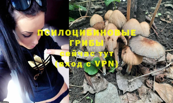 ГАЛЛЮЦИНОГЕННЫЕ ГРИБЫ Абинск