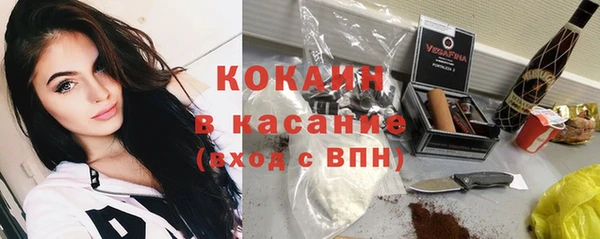 молекула духа Осинники