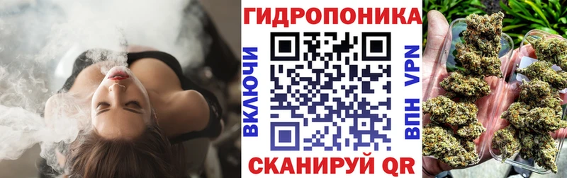 KRAKEN tor  магазин  наркотиков  Нелидово  Канабис VHQ 